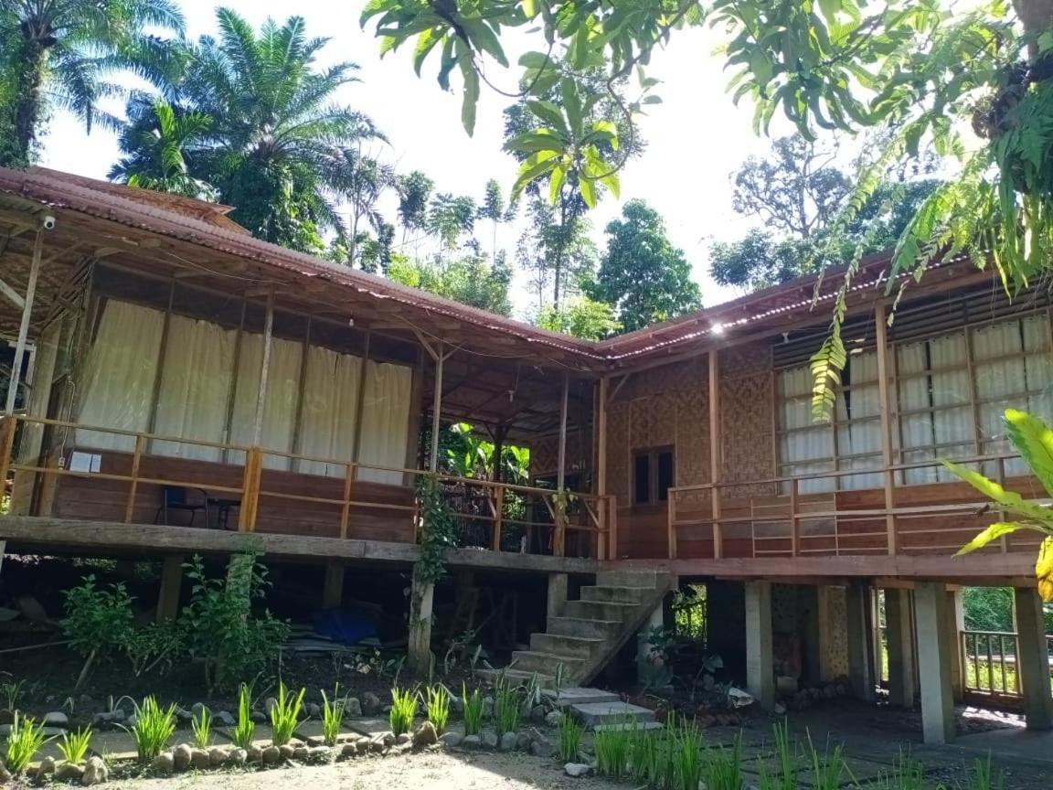 Bua Guesthouse Tangkahan Dış mekan fotoğraf