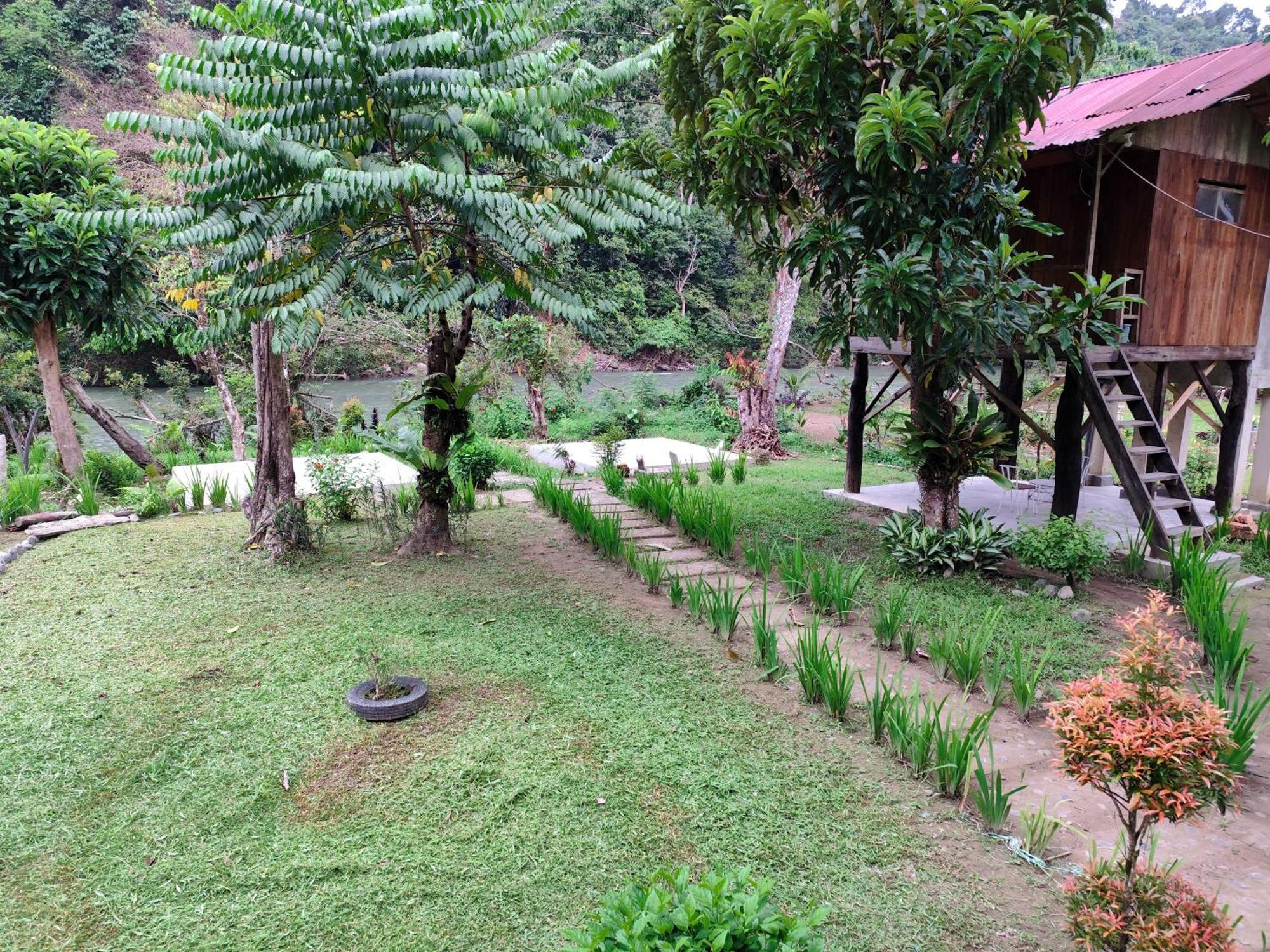 Bua Guesthouse Tangkahan Dış mekan fotoğraf