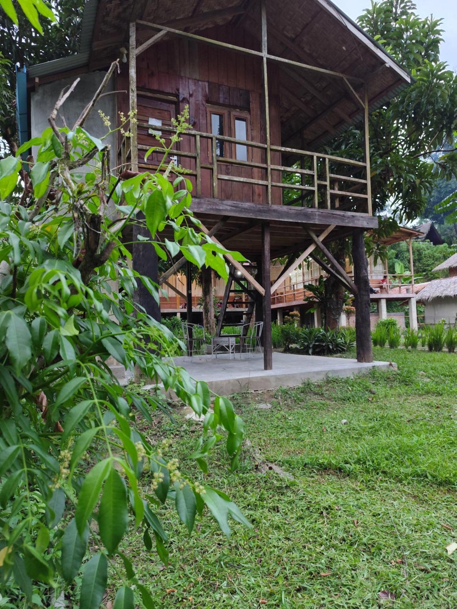 Bua Guesthouse Tangkahan Dış mekan fotoğraf